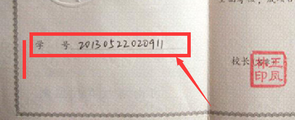 高中畢業證學號編排規律