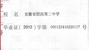 安徽省高中畢業(yè)證字號怎么填寫