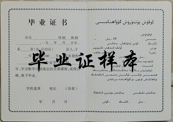 新疆成人中等專(zhuān)業(yè)學(xué)校畢業(yè)證內(nèi)頁(yè)