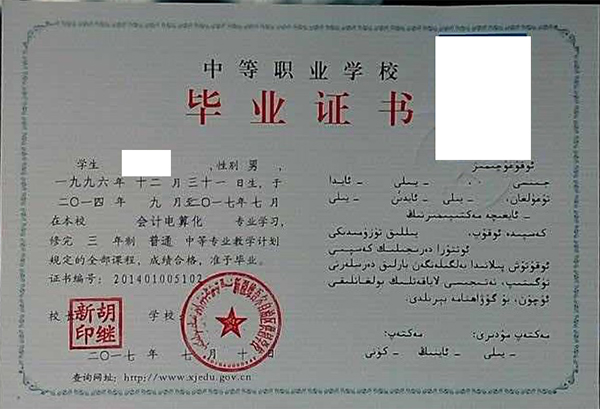 新疆2008年的中專畢業證樣本