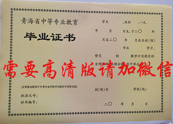 青海省2004年中專畢業(yè)證圖片(高清圖片) 青海省2004年中專畢業(yè)證圖片(高清圖片)