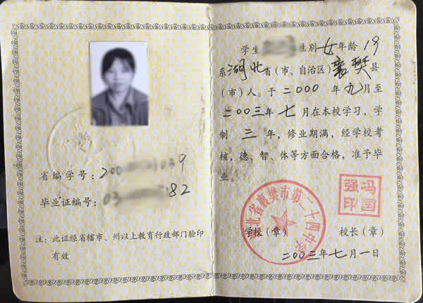 湖北省2001年高中畢業(yè)證樣本