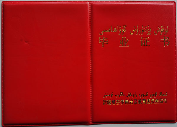 新疆1998年高中畢業證：樣式、學籍號填寫與補辦