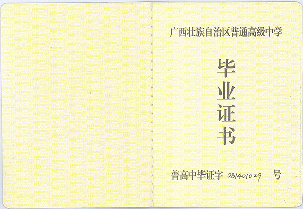 南寧市賓陽縣開智中學2009年高中畢業證樣本、編號填寫規則及遺失補辦流程
